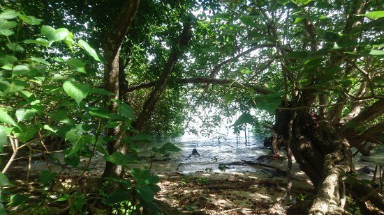 Bras d'Eau National Park